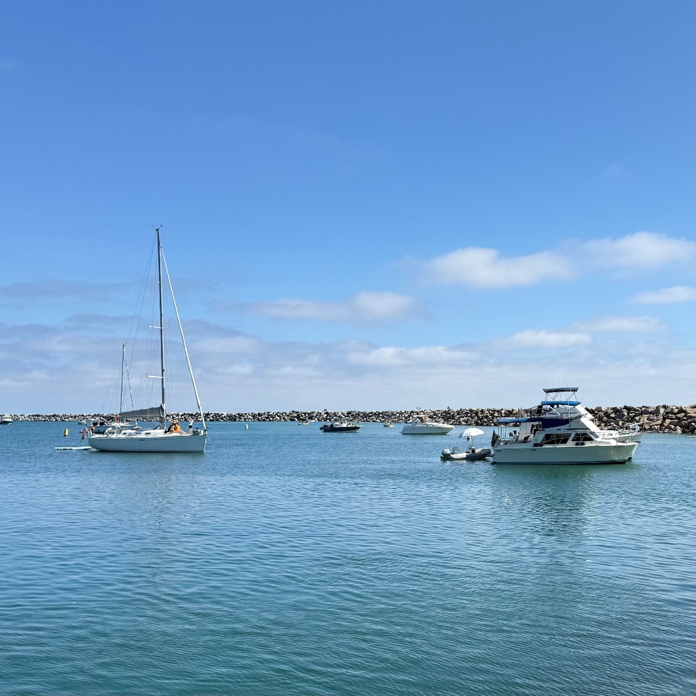 Meet your Posher, Emma